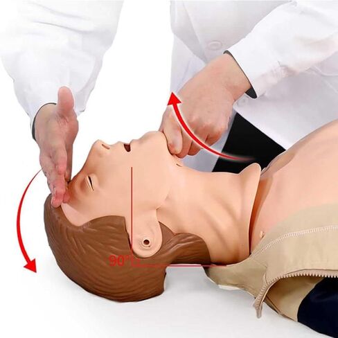 مجموعة تدريب دمية عرض CPR، مجموعة عارضة أزياء لتدريب البالغين لكامل الجسم، نموذج تدريب ضغط الصدر، دمية إنعاش الإسعافات الأولية للفصل الدراسي أو مركز الأبحاث in Kuwait