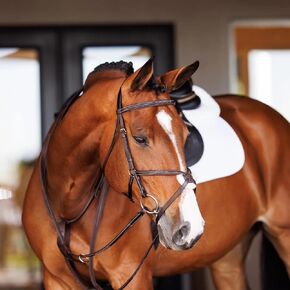 Shires Fancy Square Raised Leather Running Martingale - Oak Premium Quality Equestrian Horse Tack Xfull in Kuwait