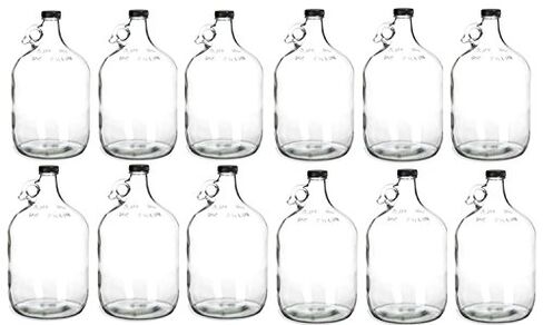 Home Brew Ohio Glass Water Bottle Includes 38 mm Polyseal Cap, 1 gal. (Pack of 12) in Kuwait