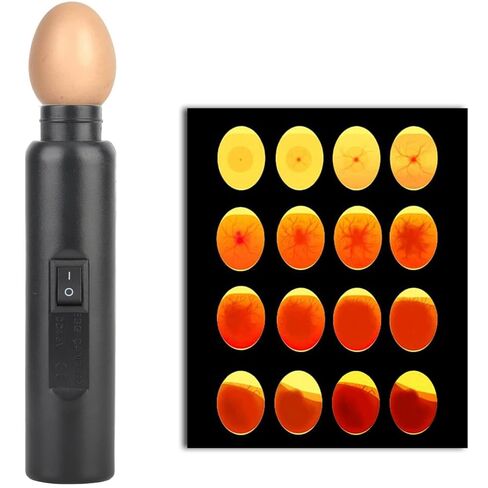 Milltrip LED Egg Candler Tester - Mini Light Tester for Chicken/Duck/Bird Egg Fertility Testing & Hatching Monitoring, Ideal for Farmers, Schools, Science Projects in Kuwait