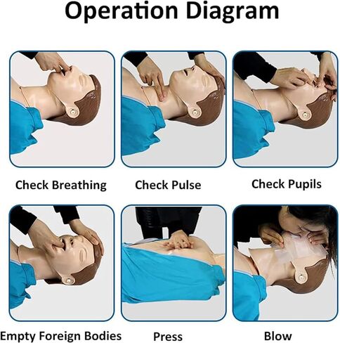 CPR Manikins Dummy Training Kit, Advanced Full Body Adult Training Manikin Kit, Resuscitation Manikins for Classroom or Research Centers in Kuwait