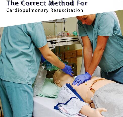 CPR Manikins Dummy Training Kit, Advanced Full Body Adult Training Manikin Kit, Resuscitation Manikins for Classroom or Research Centers in Kuwait