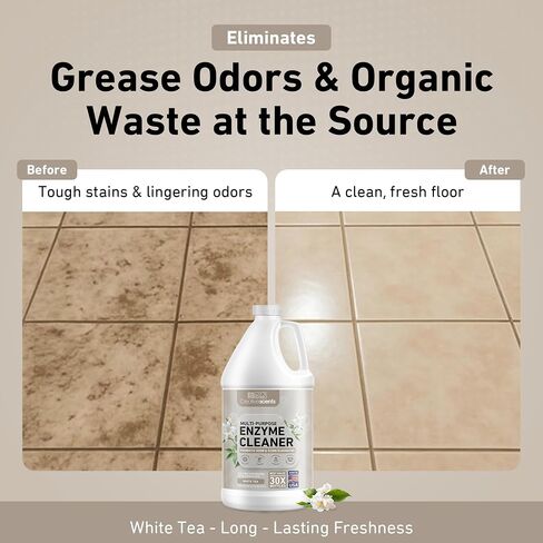 Creative Scents Multipurpose Enzyme Cleaner & Odor Remover | Deodorizer for Floor, Carpet, Drain, Pipes | Pet Urine Odor Eliminator | Enzyme Cleaner for Cat Urine & Dog Poop | Half Gallon - White Tea in Kuwait