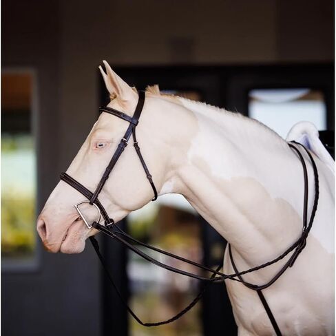 Shires Velociti LUSSO Fancy Square Raised Standing Martingale (Oak, XFull) in Kuwait