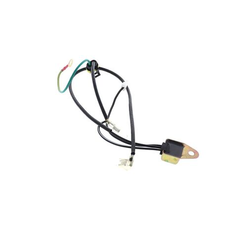 D245116 Power Amplifier Module Homelite Equipment Replacement Part in Kuwait