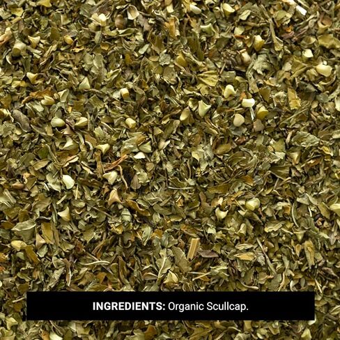 Frontier Co -Op Organic Scullcap Herb Cut & Sifted Arganic Erganic Armbal Complement 1LB - Skullcap Herb for tincture ، tea ، emplement in Kuwait