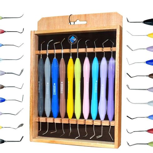 10-Piece Dental Composite Tool Set – Professional Tooth Restoration Instruments with Ergonomic Non-Slip Silicone Handles – Wooden Storage Box for Organized Storage in Kuwait