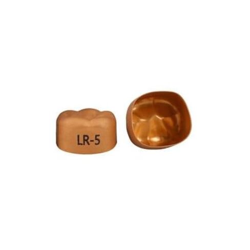 3M Solventum 940345 Unitek Crowns Gold Anodized 1st Molar #5 Lower Right 5/Bx in Kuwait