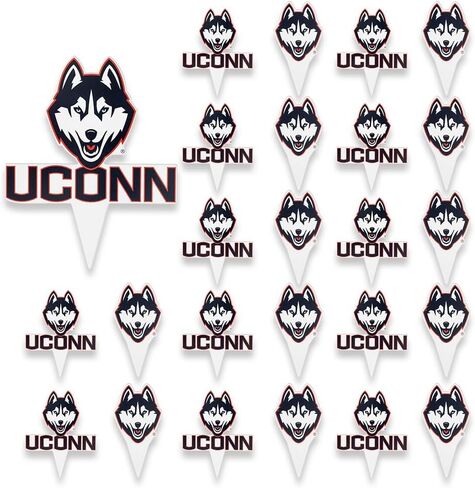 Desert Cactus University of Connecticut UConn Huskies Food Picks, Cupcake and Cake Toppers, Cake Pop Sticks - 25 Pcs Party Supplies and Decorations in Kuwait