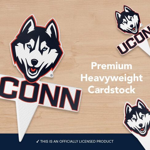 Desert Cactus University of Connecticut UConn Huskies Food Picks, Cupcake and Cake Toppers, Cake Pop Sticks - 25 Pcs Party Supplies and Decorations in Kuwait