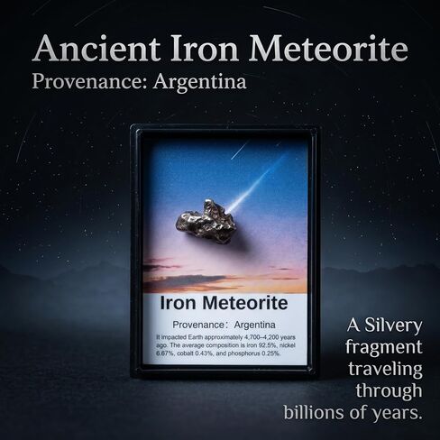 Authentic Meteorite Gift Set – 2 Real Space Specimens (1–3g Each) in Gift Box with Acrylic Display Case & Magnifying Glass – Argentina Iron & Morocco Stone Meteorites in Kuwait