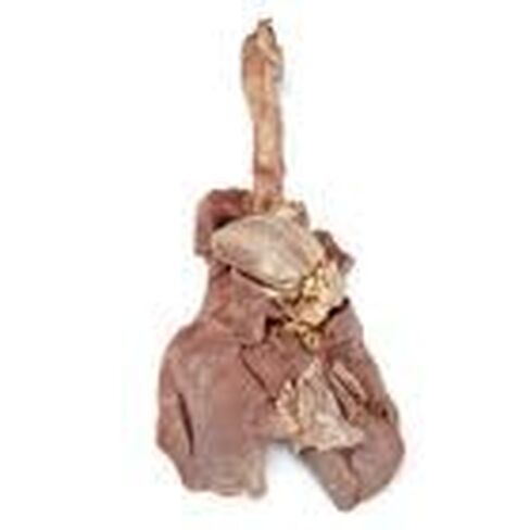 Carolina's Perfect Solution® Sheep Pluck, Plain, 1 Per Bag in Kuwait