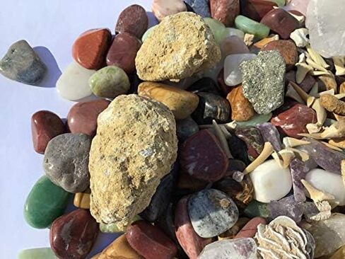مجموعة أنشطة مجموعة DINOSAURS ROCK والمعادن (150+ قطعة) مع مخطط تعريف تعليمي وأسنان جيود إضافية وأسنان دينو سبينوصور، زمرد، أسنان سمك القرش، رؤوس سهام - مجموعة هدايا الصخور والمعادن in Kuwait