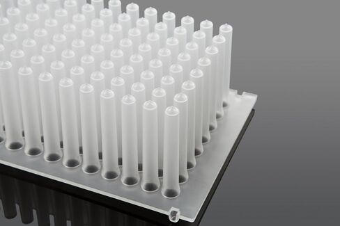 مجموعة Biologix 96-Well Magnet، علبة مكونة من 50 قطعة in Kuwait