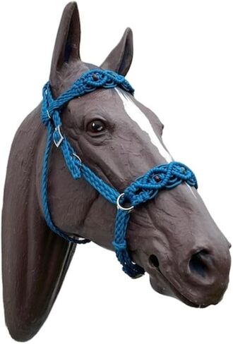 Horse bitless Bridle Horse tack Side Pull Hackamore Macrame with Indian Agate Beads in Kuwait