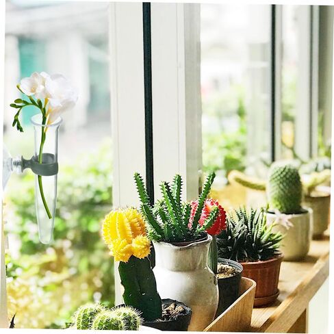8pcs Floral Water Tubes with Suction Cups Durable Nutrition Tubes for Fresh Flower Arrangements Design for Easy Water Level Monitoring in Kuwait
