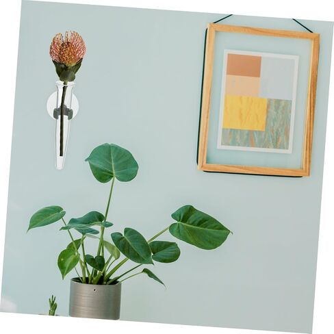 8pcs Floral Water Tubes with Suction Cups Durable Nutrition Tubes for Fresh Flower Arrangements Design for Easy Water Level Monitoring in Kuwait