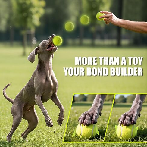 PHOEPET 6 كرات تنس للكلاب، كرة مطاطية كبيرة لجلب ألعاب المضغ لممارسة تدريب المبتدئين (أصفر) in Kuwait