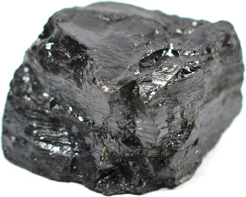EISCO Bituminous Coal Specimen (Sedimentary Rock), Approx. 1" (3cm) in Kuwait