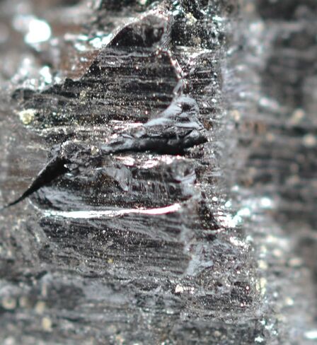 EISCO Bituminous Coal Specimen (Sedimentary Rock), Approx. 1" (3cm) in Kuwait