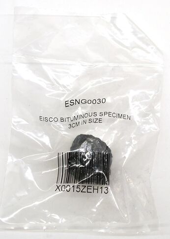 EISCO Bituminous Coal Specimen (Sedimentary Rock), Approx. 1" (3cm) in Kuwait