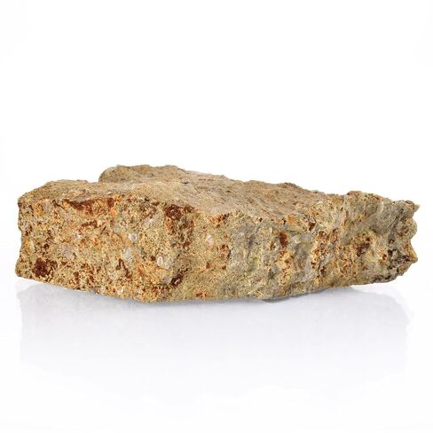 Eisco - Fossiliferous Limestone Specimen, Approx. 3" Hand Sample - Sedimentary Rock with Visible Fossils - Ideal for Geology & Earth Science Classrooms in Kuwait