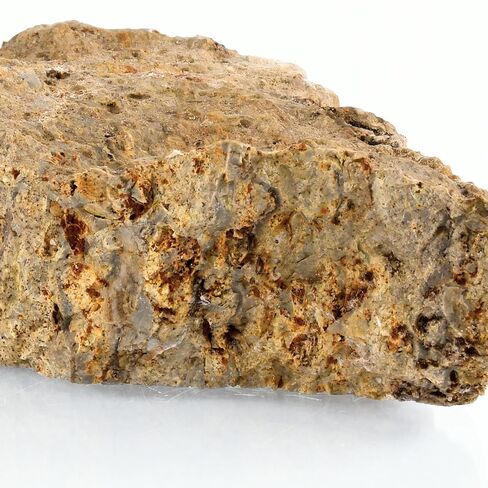 Eisco - Fossiliferous Limestone Specimen, Approx. 3" Hand Sample - Sedimentary Rock with Visible Fossils - Ideal for Geology & Earth Science Classrooms in Kuwait