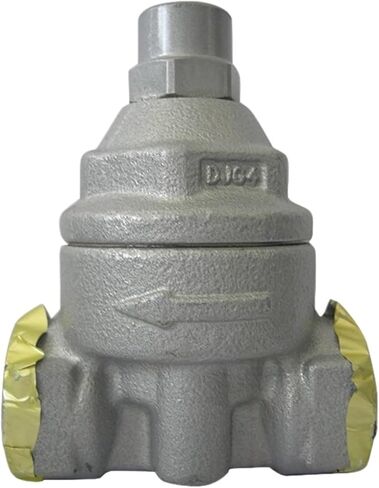 مصيدة البخار صمام استنزاف البخار TB9N DN15 DN20 DN25(TB9N DN25) in Kuwait