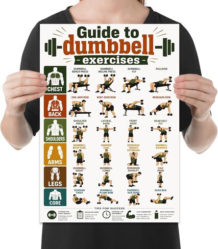 Fitness Enthusiast Poster Print - Dumbbell Exercises by Muscle Group - 13x19 - Modern Infographic Design in Kuwait