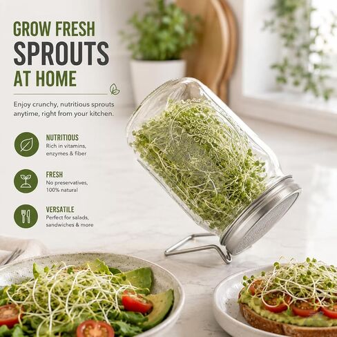 2 Pcs All-in-One Wide Mouth Mason Jar Lids for Broccoli Seeds, Alfalfa, Mung Beans & microgreens, Sprouting Lid with Built-in Stand, Stainless Steel Sprouting Jar Kit Accessory in Kuwait