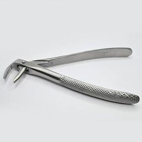 Dental Lower Adult Anterior and Root No. 74 1pc in Kuwait