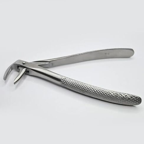 Dental Lower Adult Anterior and Root No. 74 1pc in Kuwait