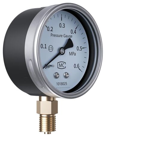 1 قطعة مقياس ضغط المؤشر 304SS 60/80/100 مللي متر مقياس الضغط الميكانيكي مقياس الضغط الرقمي لزيت الماء (SS304 60 مللي متر 1.6 جرام ، 0-0.25 ميجا باسكال) in Kuwait