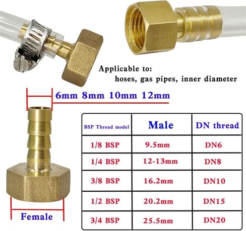 1PCS Brass Hose Connector 6 8 10 12 14mm Barb Tail 1/8“1/4"3/8“1/2" Pagoda Male/Female Thread Air Gas Water Pipe Barb Fitting Coupler(PC,10MM_1/4") in Kuwait