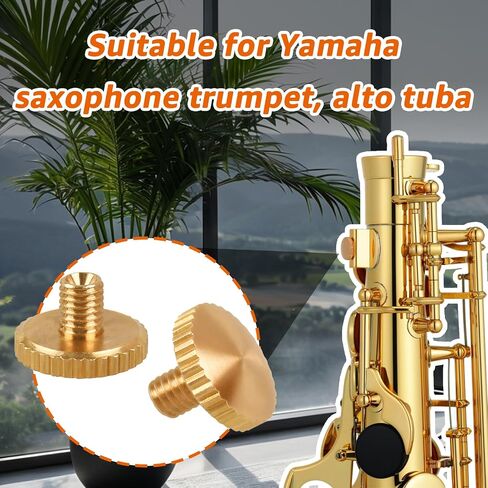 12Pcs A0141229 Brass Lyre Holder Screws for Yamaha Saxophone, Compatible with Yamaha Saxophone Trumpet Cornet Alto Tuba Replacement for A0141220 Finger Ring Holder Screws in Kuwait