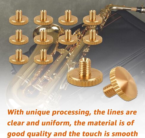 12Pcs A0141229 Brass Lyre Holder Screws for Yamaha Saxophone, Compatible with Yamaha Saxophone Trumpet Cornet Alto Tuba Replacement for A0141220 Finger Ring Holder Screws in Kuwait
