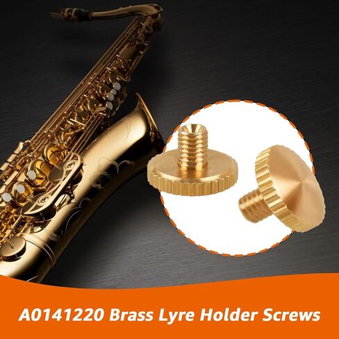 12Pcs A0141229 Brass Lyre Holder Screws for Yamaha Saxophone, Compatible with Yamaha Saxophone Trumpet Cornet Alto Tuba Replacement for A0141220 Finger Ring Holder Screws in Kuwait