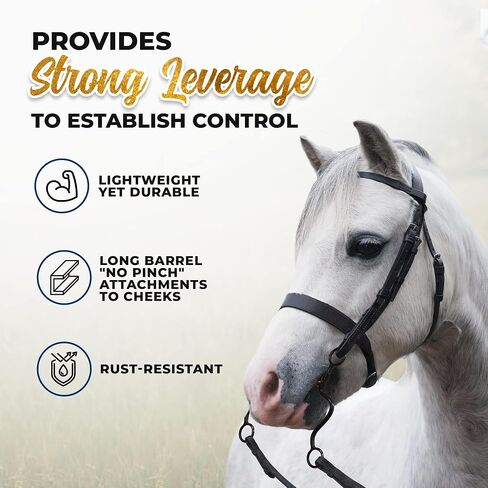 لقمة تصحيح من الفولاذ الأسود من Colorado Saddlery للخيول - لقمة حصان غربي ذات فم مزدوج نحاسي مقاس 5 بوصات - خدود مقاس 8 بوصات - قطعة فم الحصان للركوب والتدريب اليومي in Kuwait