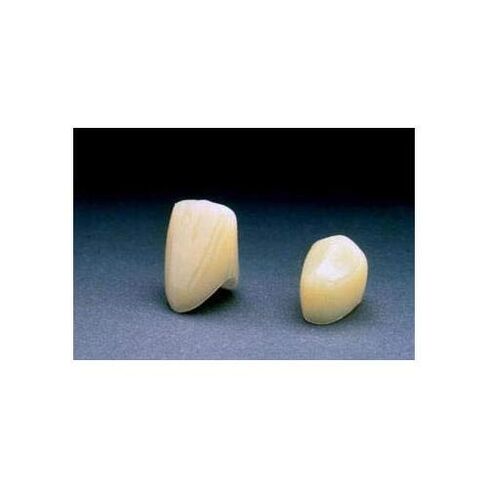 3M ESPE 3M-P15 Polycarbonate Crown, Upper Left Central (Pack of 5) in Kuwait