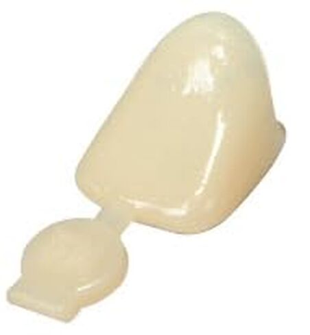 3M ESPE 3M-P10 Polycarbonate Crown, Upper Right Central (Pack of 5) in Kuwait