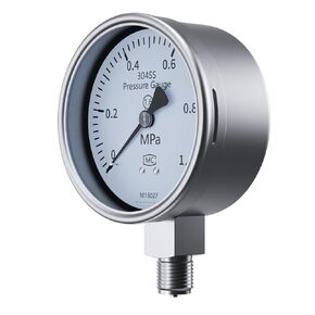 1pc Water Oil Pressure Gauge 60mm/100mm -0.1-4Mpa -60Mpa 304SS Pointer Pressure Gauges M14*1.5/M20*1.5 Mechanical Pressure Meter(304SS 60mm M14-1.5,0-6Mpa) in Saudi Arabia