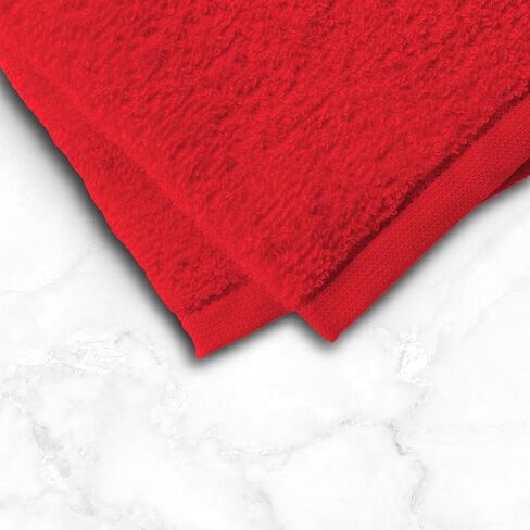 Northwest San Francisco 49ers NFL Team Logo Wash Cloth 4 Pack 12 x 12 Inches in Kuwait