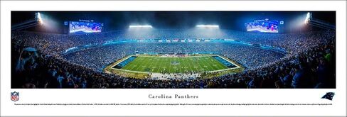 Carolina Panthers - 50 Yard - Blakeway Panoramas NFL Posters in Kuwait