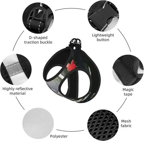Anime Fantasy Pet Vest Small Size Dog Harness and Leash Set, Reflective & Breathable for Puppy Training Without Accessories Medium in Kuwait