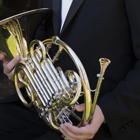 ibasenice French Horn Mouthpiece Replacement Copper Alloy Easy to Install Smooth Surface Students Beginners Golden Horn Accessories in Kuwait