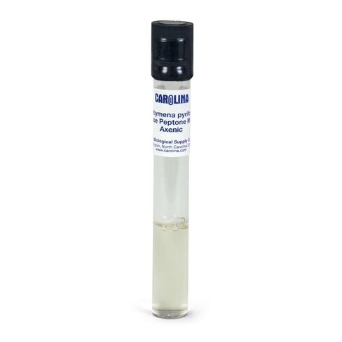 Tetrahymena sp.، المعيشة in Kuwait