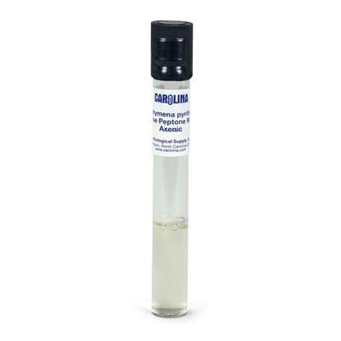 Tetrahymena sp.، المعيشة in Kuwait