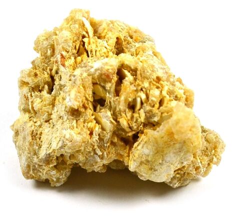عينة EISCO Coquina (الصخور الرسوبية)، تقريبًا. 1 بوصة (3 سم) in Kuwait