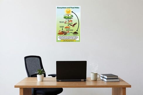 Ecosystems and Food Webs Educational Science Diagram 12x18 US Made Poster in Saudi Arabia