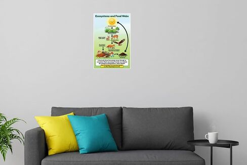 Ecosystems and Food Webs Educational Science Diagram 12x18 US Made Poster in Saudi Arabia